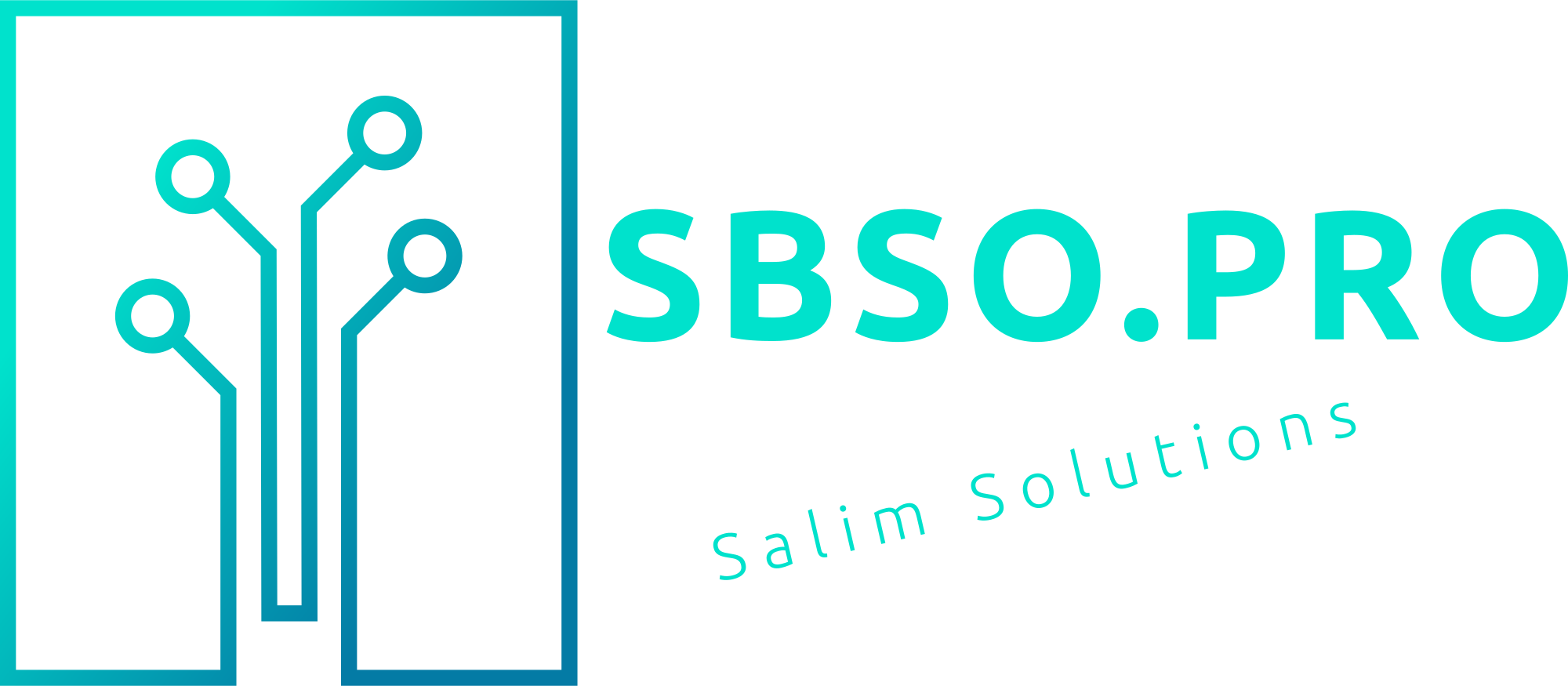 SBSO.PRO SALIM BLAL SOLUTIONS PRO Maroc  Votre partenaire digital